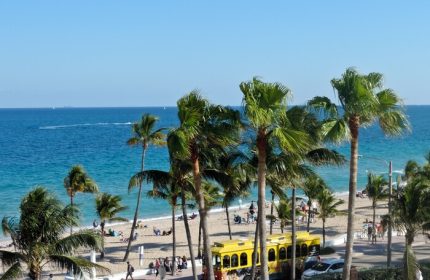 Beach view from a gay-friendly hotel. Palm trees frame the ocean, beachgoers, and a yellow trolley. Great spot for gay men's travel.