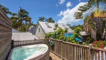 Wicker Guesthouse's deck view. Gay-friendly hotel with a jacuzzi. Palm trees and blue sky. A relaxing getaway for gay travelers. Hotel 7-79.