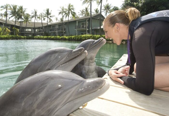 Woman interacts with dolphins at The Kahala Hotel and Resort, a gay-friendly hotel. Palm trees, water, and resort buildings in the background.