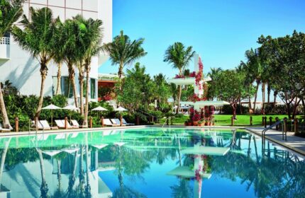 Miami Beach EDITION's pool. Gay-friendly hotel with palm trees, lounge chairs, and a serene pool reflecting the blue sky. A tropical paradise.