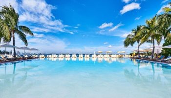 The Standard Miami gay-friendly hotel pool view. Palm trees, lounge chairs, and umbrellas line the pool's edge under a bright blue sky.