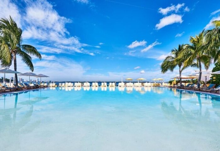 The Standard Miami gay-friendly hotel pool view. Palm trees, lounge chairs, and umbrellas line the pool's edge under a bright blue sky.