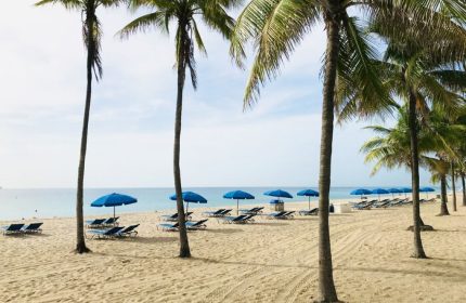 The Ritz-Carlton, Fort Lauderdale's beach view. Palm trees, blue umbrellas, and lounge chairs on the sand. A gay-friendly hotel.