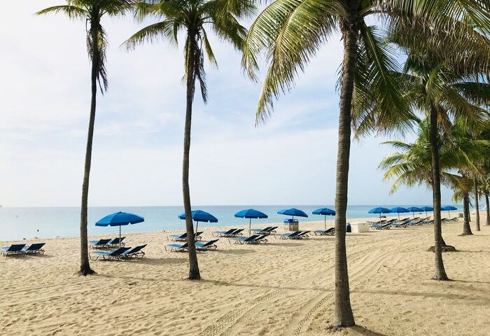 The Ritz-Carlton, Fort Lauderdale's beach view. Palm trees, blue umbrellas, and lounge chairs on the sand. A gay-friendly hotel.