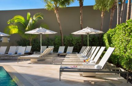 Sonesta Fort Lauderdale Beach gay-friendly hotel pool. Loungers, umbrellas, and palm trees create a relaxing vacation atmosphere.