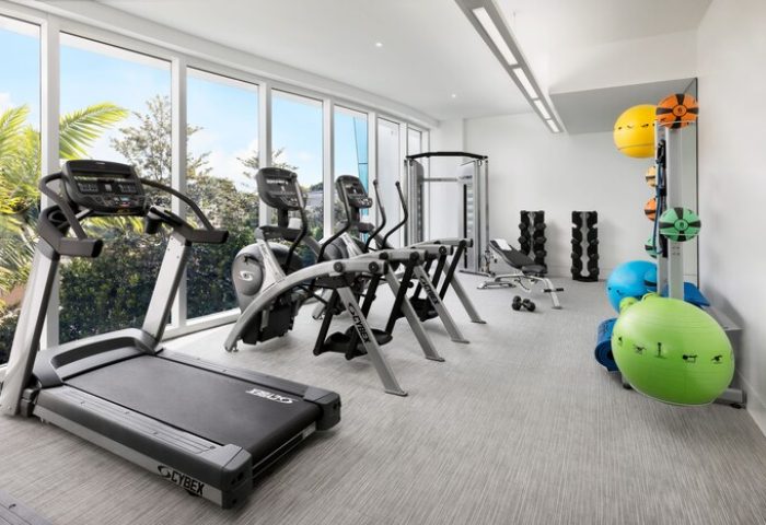 H2O Suites adults-only gay-friendly hotel gym. Treadmill, elliptical machines, weights, and fitness balls. Modern exercise room with natural light.