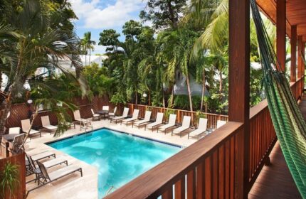 Island City House gay-friendly hotel pool view from balcony. Hammock, lounge chairs, palm trees, and blue sky create a relaxing tropical vibe.