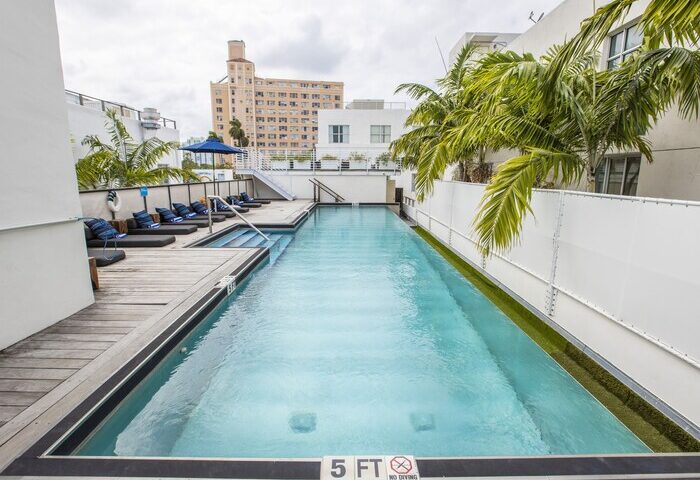 Rooftop pool at gay-friendly hotel in Posh South Beach. Loungers line the deck. Palm trees and a city view add to the luxe vibe.