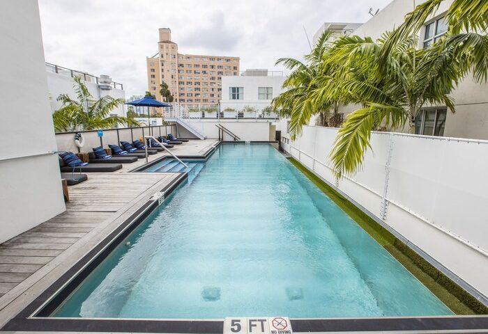 Rooftop pool at gay-friendly hotel in Posh South Beach. Loungers line the deck. Palm trees and a city view add to the luxe vibe.