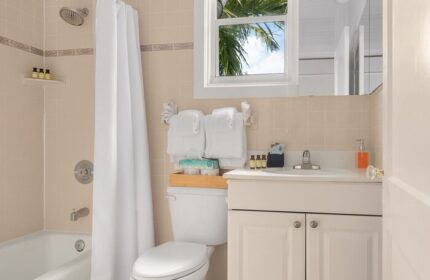 Bathroom at Marrero's Guest Mansion, a gay-friendly hotel. Features a tub, shower, toilet, vanity, and window.
