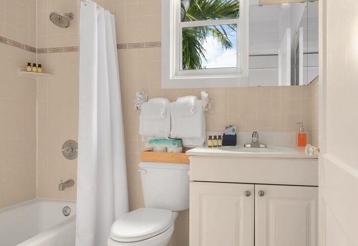 Bathroom at Marrero's Guest Mansion, a gay-friendly hotel. Features a tub, shower, toilet, vanity, and window.