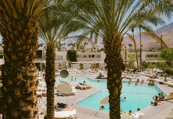 Ace Hotel & Swim Club Palm Springs pool scene. Gay-friendly hotel with palm trees, pool, and guests relaxing. A perfect gay travel destination.