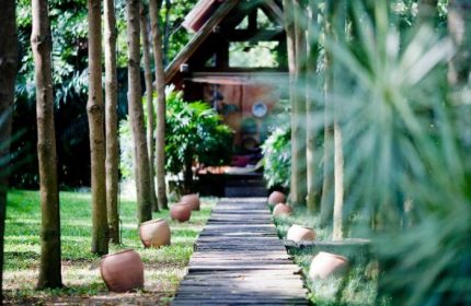 Path to a bungalow at Anantara Bophut Koh Samui Resort. Gay-friendly hotel with lush greenery & clay pots lining the walkway.