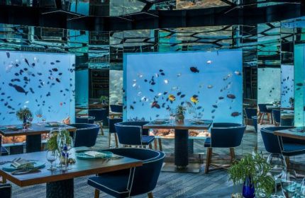 Gay Friendly Hotel Anantara Kihavah Maldives Villas Maldives Islands