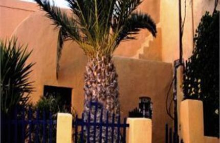 Aperto Suites, a gay-friendly hotel, adults only. Exterior view with palm tree and blue fence. Ideal for gay travel and relaxation.