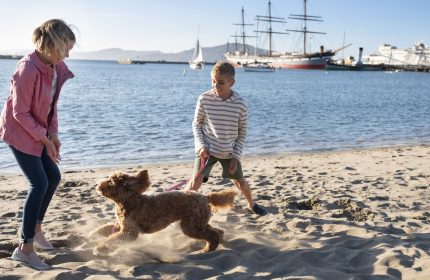 Kids playing with a dog on the beach near Argonaut Hotel. Gay-friendly travel destination with pet-friendly options. Waterfront view.