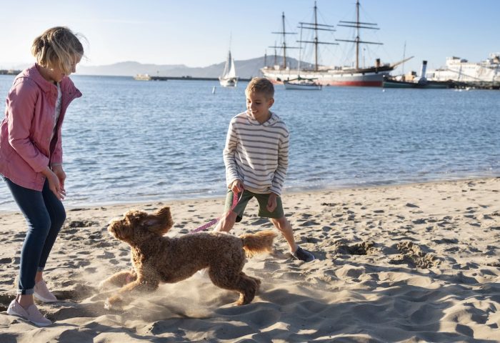 Kids playing with a dog on the beach near Argonaut Hotel. Gay-friendly travel destination with pet-friendly options. Waterfront view.