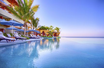 Infinity pool at Armony Resort & Spa, an all-inclusive, adults-only, gay-friendly hotel. Loungers and palm trees overlooking the ocean.