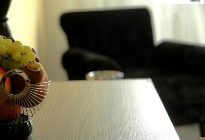 Arthotel ANA Boutique Six detail. Fruit bowl on table, chair in background. Gay-friendly hotel in Vienna, perfect for gay men travel.