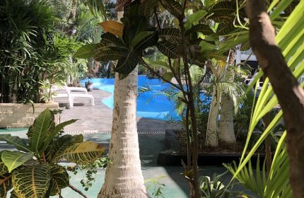 Beach Energy Hotel By BFH pool view. Lush greenery at this gay-friendly hotel. Tropical plants, palm trees.