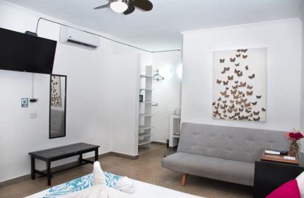 Beach Energy Hotel By BFH room. Interior of this gay-friendly hotel with a butterfly art piece, sofa, TV, and modern decor.