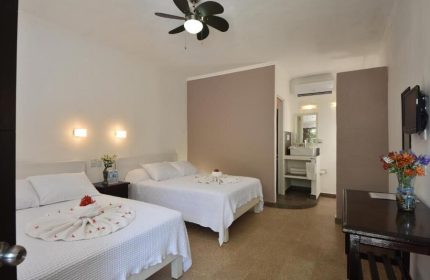 Beach Energy Hotel By BFH room. Gay-friendly hotel featuring two beds with white linens, ceiling fan, bathroom, and colorful flowers.