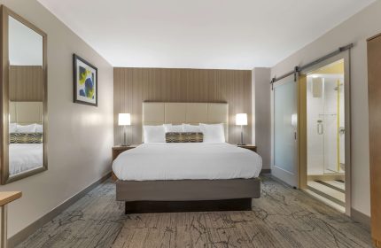 Best Western Red Coach Inn gay-friendly hotel room. King bed, ensuite bathroom with sliding door, modern decor. Ideal for gay men travel.