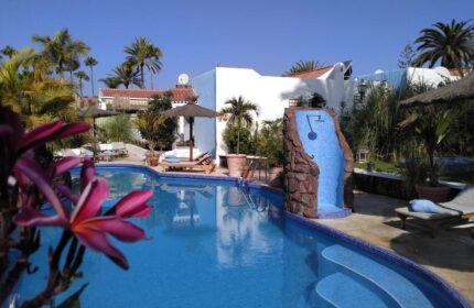 Birdcage Gay Men's Resort pool view. Relax at this gay-friendly hotel. Enjoy the lifestyle in this tropical oasis. Palm trees, sun, and fun.