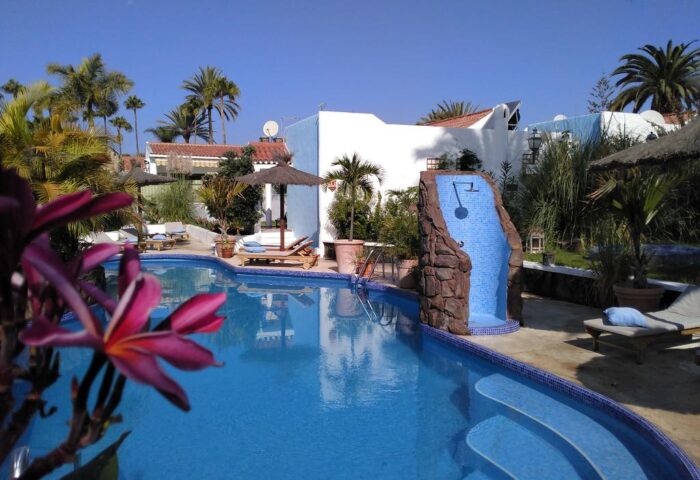Birdcage Gay Men's Resort pool view. Relax at this gay-friendly hotel. Enjoy the lifestyle in this tropical oasis. Palm trees, sun, and fun.
