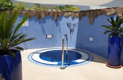 Birdcage Gay Men Resort hot tub. Gay-friendly hotel's outdoor jacuzzi with blue mosaic tiles, plants, and a stainless steel handrail.