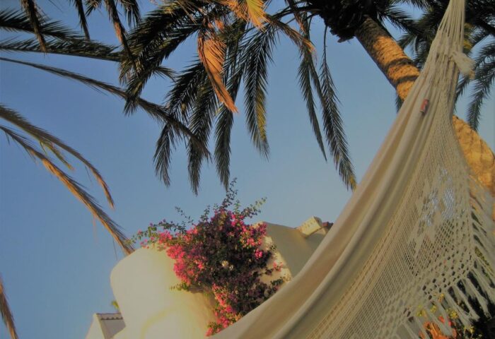 Hammock at Birdcage Gay Men Resort, a gay-friendly hotel. Palm trees, bougainvillea, and blue sky create a relaxing, tropical vibe.