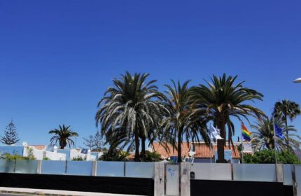 Birdcage Gay Men Resort & Lifestyle Hotel exterior. Palm trees and a rainbow flag are visible. Gay-friendly hotel for gay men travelers.