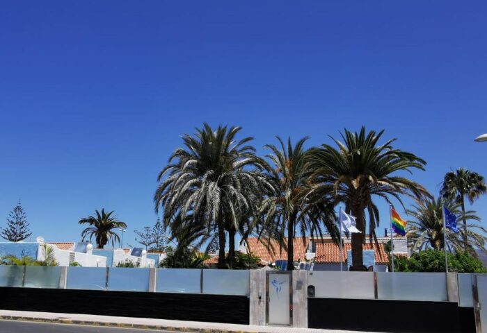 Birdcage Gay Men Resort & Lifestyle Hotel exterior. Palm trees and a rainbow flag are visible. Gay-friendly hotel for gay men travelers.