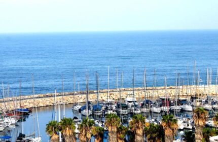 Brown Seaside Hotel view. Gay-friendly hotel overlooking a marina with many yachts docked, palm trees, and the blue sea. Perfect for gay travel.