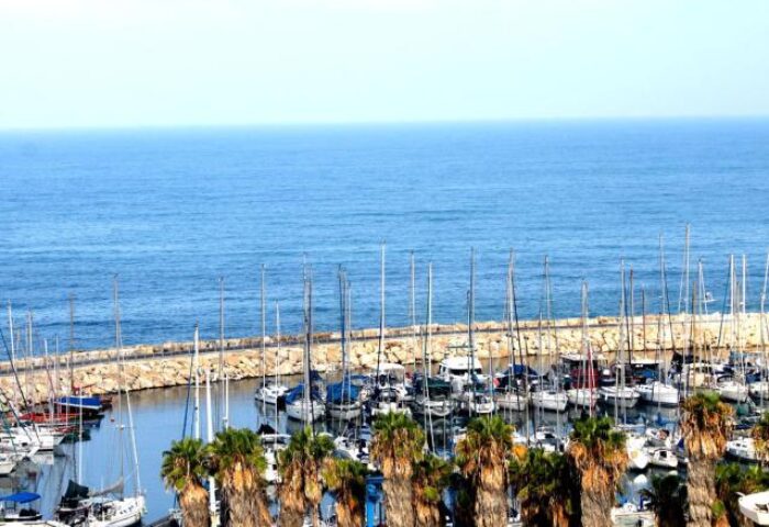 Brown Seaside Hotel view. Gay-friendly hotel overlooking a marina with many yachts docked, palm trees, and the blue sea. Perfect for gay travel.