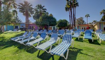 CCBC Resort Hotel, a gay men's resort. Lawn with blue striped lounge chairs, palm trees, and colorful buildings under a sunny sky.