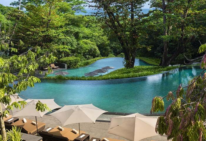 Capella Singapore Hotel pool view. Gay-friendly hotel with luxury sunbeds, umbrellas, and lush greenery. Perfect for gay men's travel relaxation.
