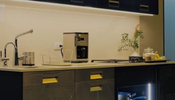 Gay Friendly Hotel  Mexico City