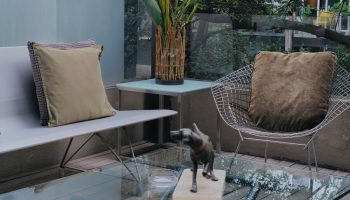 Gay Friendly Hotel  Mexico City