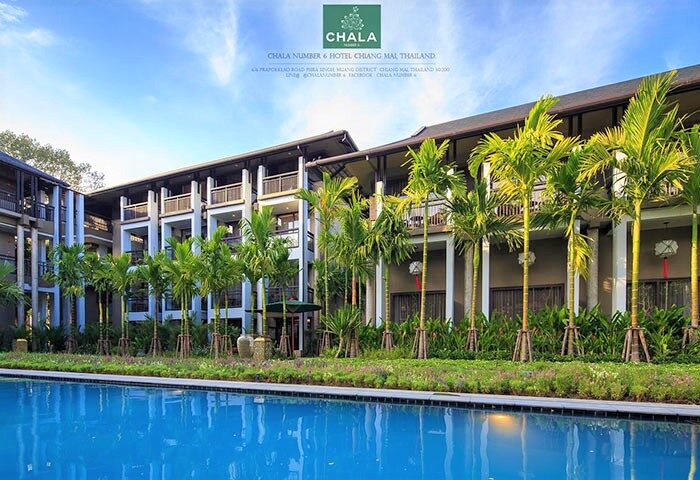Chala Number 6, gay-friendly hotel in Chiang Mai, Thailand. Swimming pool view with palm trees. Great destination for gay travel.