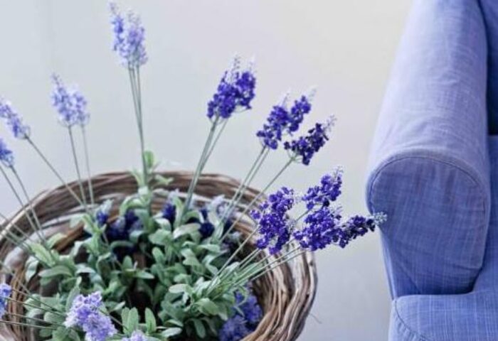 Lavender in a basket next to a blue chair at a gay-friendly hotel. Cliff Side Suites detail. Interior design for gay men's travel.