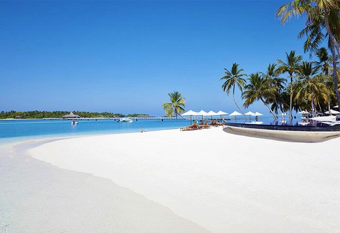 Gay-Friendly Conrad Maldives Rangali Island Resort: Beach view with white sand, palm trees, and clear blue water. Ideal gay travel destination.