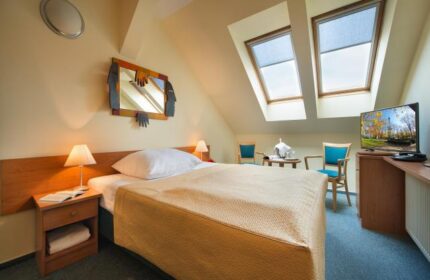 EA Hotel Tosca pet-friendly room. Gay-friendly hotel room with bed, TV, and skylights. Cozy, pet-friendly stay for gay travelers.