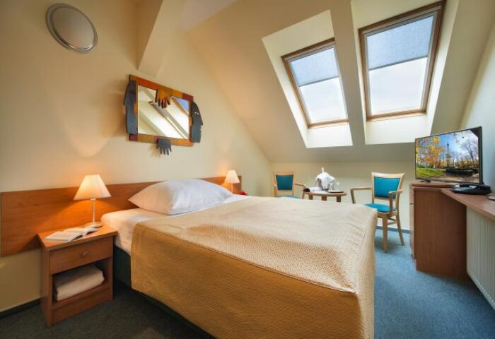 EA Hotel Tosca pet-friendly room. Gay-friendly hotel room with bed, TV, and skylights. Cozy, pet-friendly stay for gay travelers.