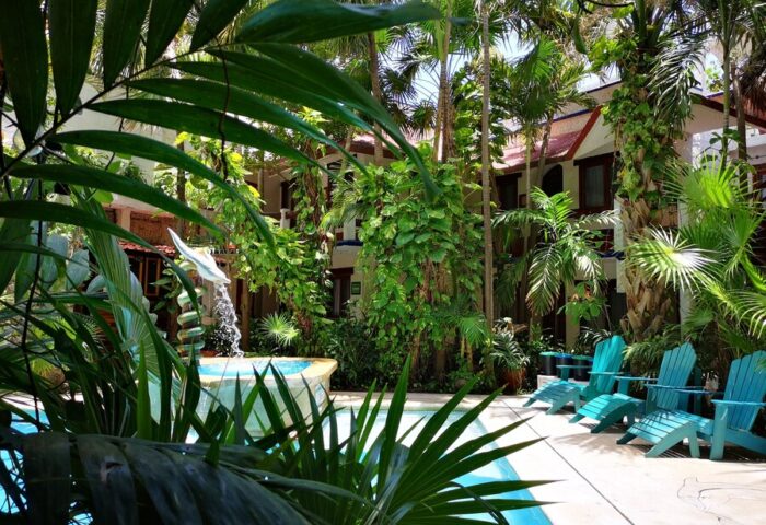 Eco-hotel El Rey del Caribe's pool area. This gay-friendly hotel features lush greenery, a fountain, and inviting blue lounge chairs.