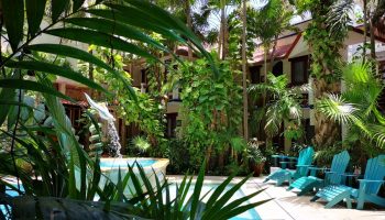 Eco-hotel El Rey del Caribe's pool area. This gay-friendly hotel features lush greenery, a fountain, and inviting blue lounge chairs.