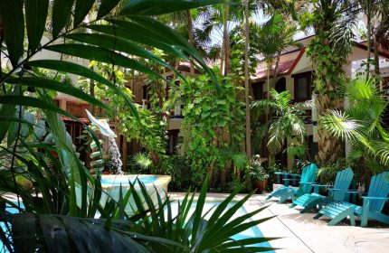 Eco-hotel El Rey del Caribe's pool area. This gay-friendly hotel features lush greenery, a fountain, and inviting blue lounge chairs.