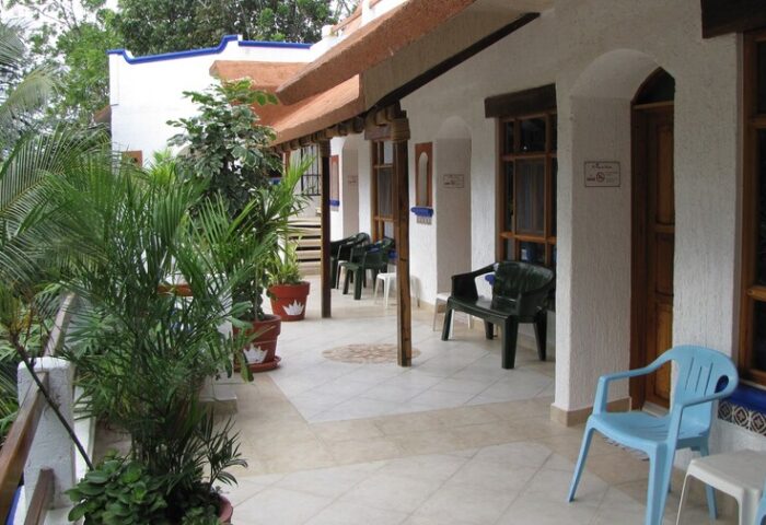 El Rey del Caribe eco-hotel patio. Gay-friendly hotel with chairs outside rooms. Tropical plants add to the Caribbean vibe.