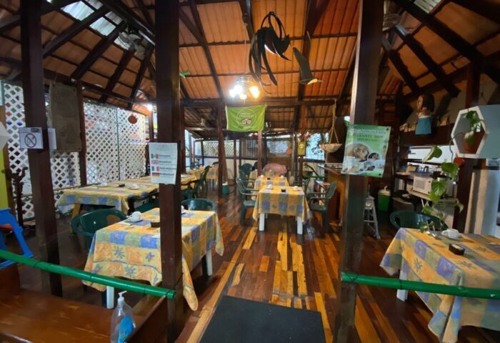 Dining area at El Rey del Caribe, a gay-friendly eco-hotel. Tables with patterned cloths under a wooden roof. A welcoming space for gay travelers.