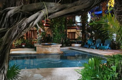 Eco-hotel El Rey del Caribe pool area at night. Gay-friendly hotel with lush greenery, pool, and chairs. Ideal for gay men's travel.
